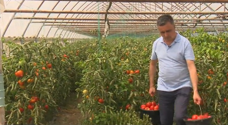 Sub cupola de foc, echipa Știrilor TVR a fost alături de oamenii care muncesc în serele de legume din Colibași, județul Giurgiu