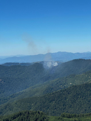 Incendiu de pădure în Masivul Țibleș: Intervenție aeriană și forțe mobilizate în zonă greu accesibilă