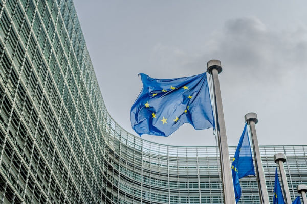 Cum depui o plângere la Uniunea Europeană. Ce organisme poţi sesiza